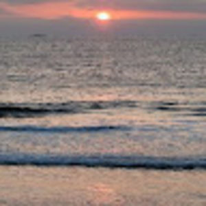 Meet your Posher, Tanya